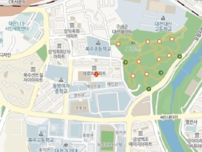 대전광역시 서구 복수동 270-1 오량마을 마루미 106동 4층401호 아파트 경매 사진 10
