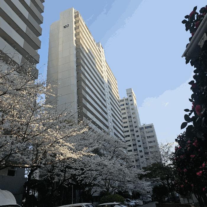 부산광역시 수영구 광안동 529 비치-그린아파트 102동 17층1701호 아파트 경매 사진 2