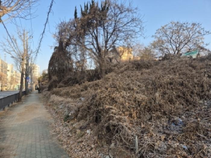 광주광역시 서구 농성동 333-2 상가 경매 사진 11