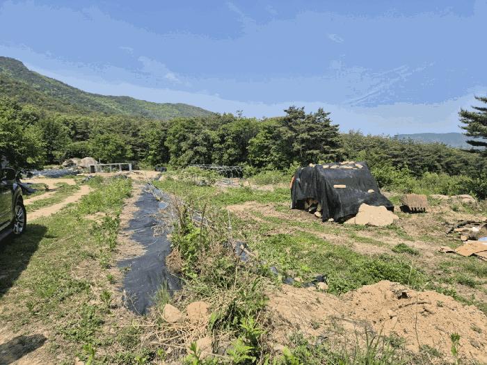 경상북도 상주시 외서면 이촌리 396-1 임야 경매 사진 1