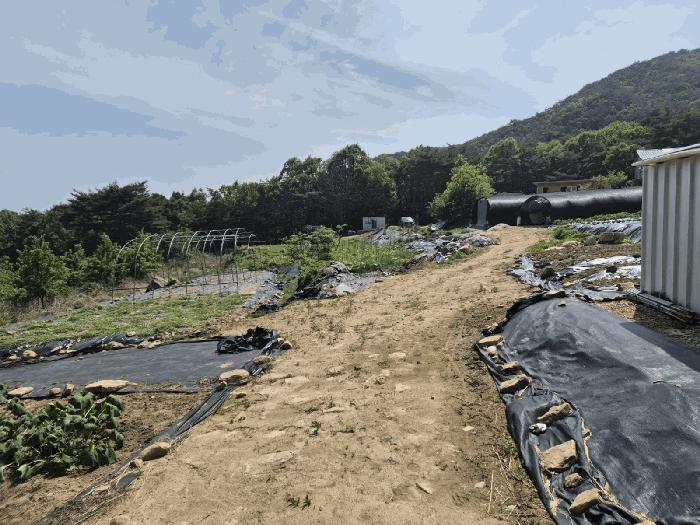 경상북도 상주시 외서면 이촌리 396-1 임야 경매 사진 3