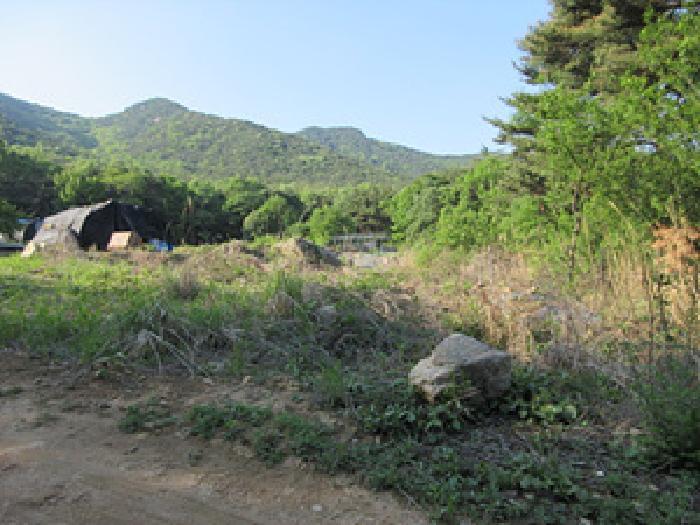 경상북도 상주시 외서면 이촌리 396-1 임야 경매 사진 5