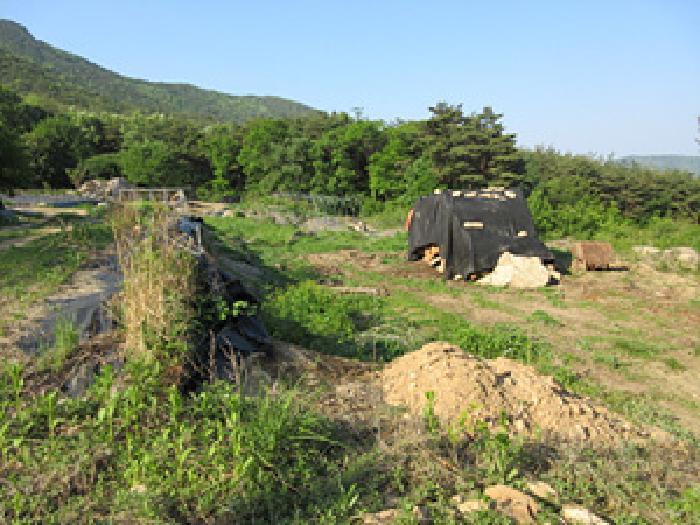 경상북도 상주시 외서면 이촌리 396-1 임야 경매 사진 6