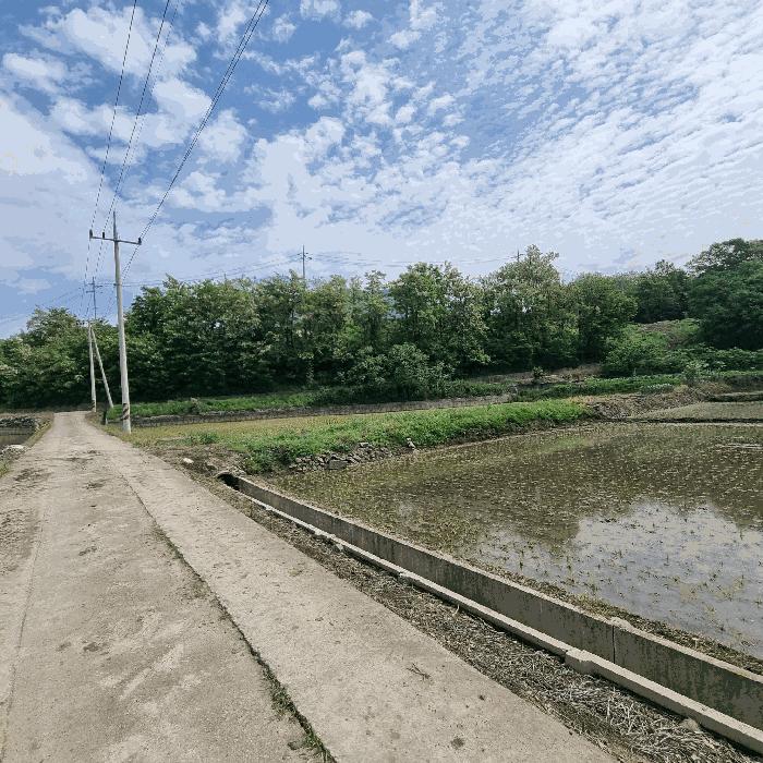 경상북도 문경시 마성면 외어리 995 답 경매 사진 1