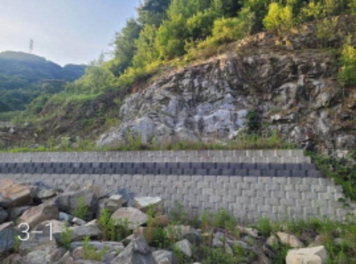 경기도 양평군 양평읍 백안리 100-74 임야 경매 사진 12
