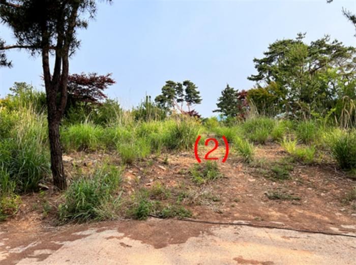 경기도 양평군 양평읍 백안리 100-74 임야 경매 사진 5