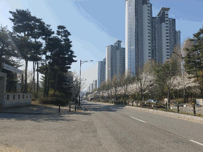 경기도 화성시 능동 1134 푸른마을포스코더??2차 910동 17층1704호 아파트 경매 사진 3