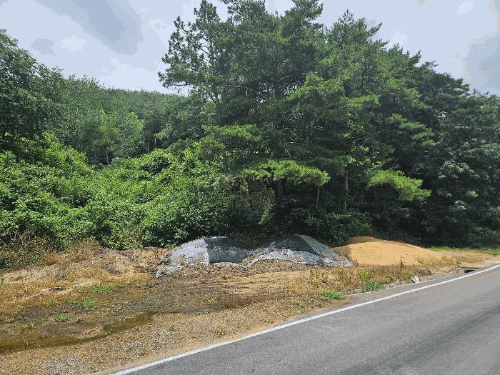 경상북도 청송군 주왕산면 부일리 665-1 전 경매 사진 1