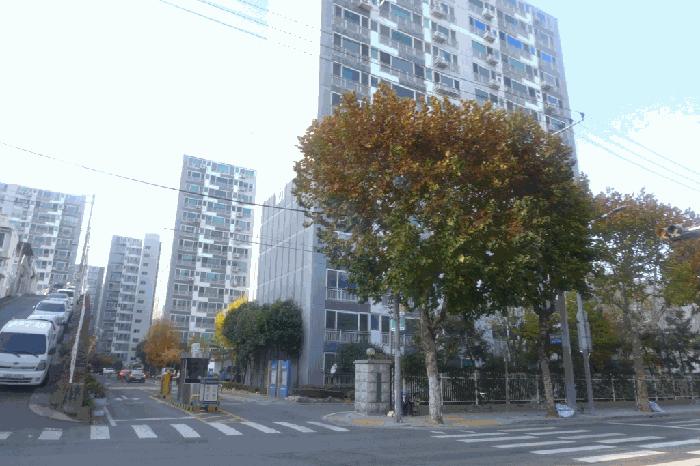 대구광역시 동구 효목동 337 태왕메트로시티 101동 1층102호 아파트 경매 사진 7