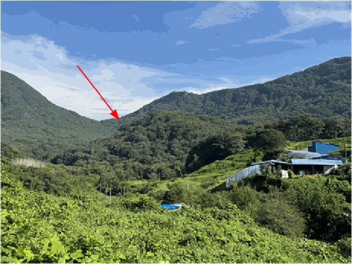 전북특별자치도 순창군 적성면 석산리 산121 임야 경매 사진 3
