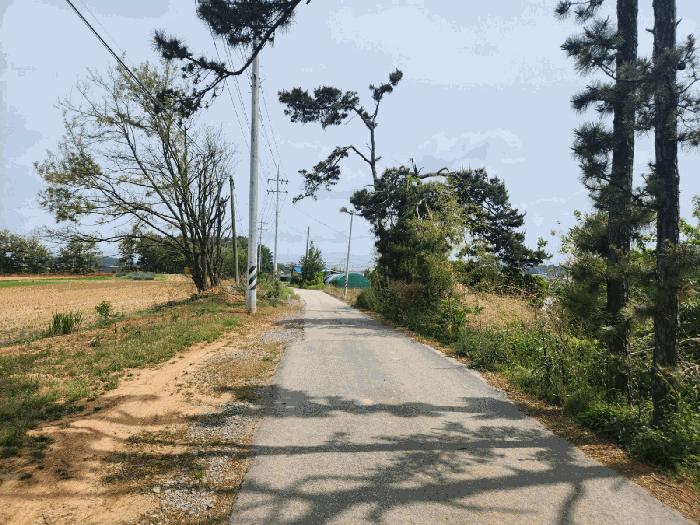 충청남도 당진시 신평면 도성리 187-5 전 경매 사진 3