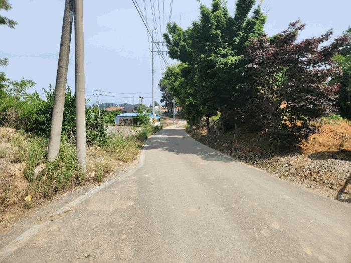 충청남도 당진시 신평면 도성리 187-5 전 경매 사진 5