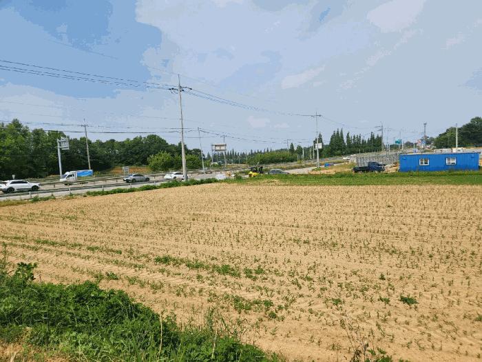 충청남도 당진시 신평면 도성리 187-5 전 경매 사진 6