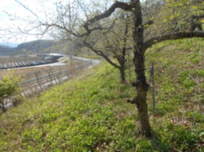 충청남도 금산군 제원면 명곡리 123 주택 경매 사진 8