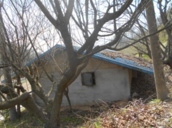 충청남도 금산군 제원면 명곡리 123 주택 경매 사진 12