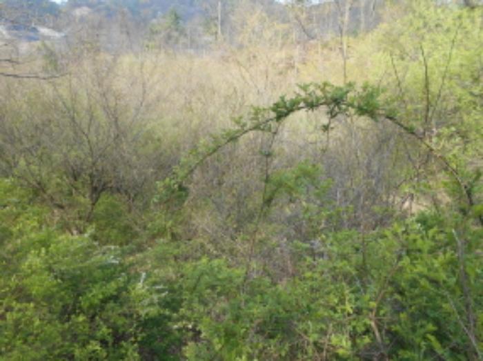 충청남도 금산군 제원면 명곡리 123 주택 경매 사진 16