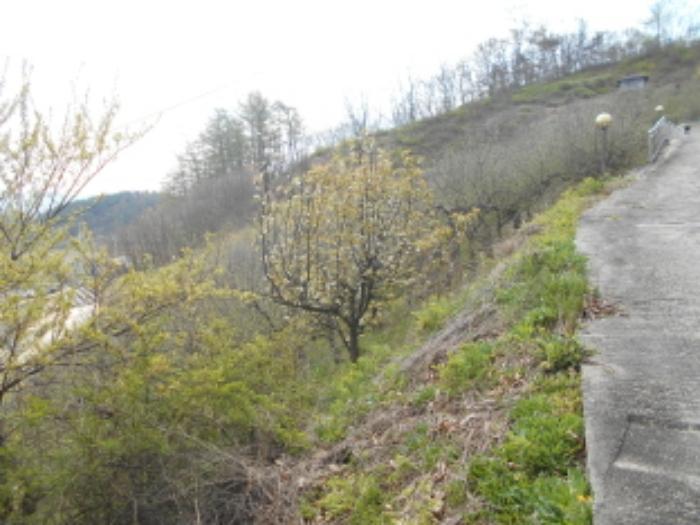 충청남도 금산군 제원면 명곡리 669 전 경매 사진 7
