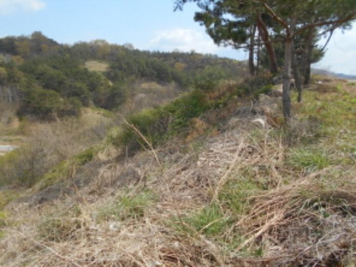 충청남도 금산군 제원면 명곡리 669 전 경매 사진 28