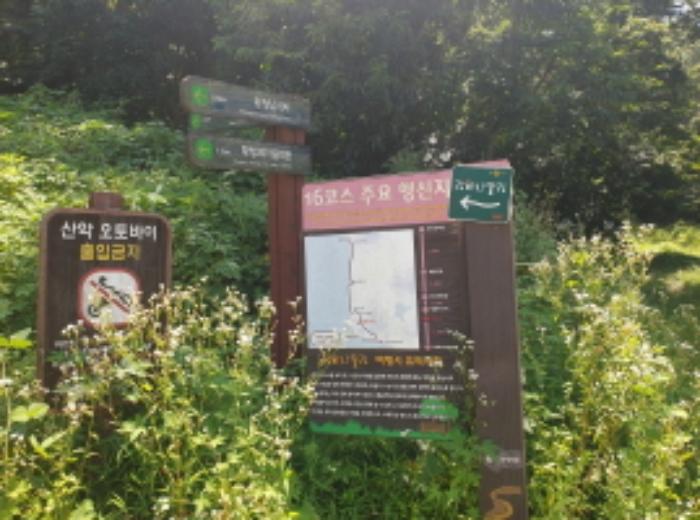 인천광역시 강화군 내가면 황청리 산135 임야 경매 사진 9