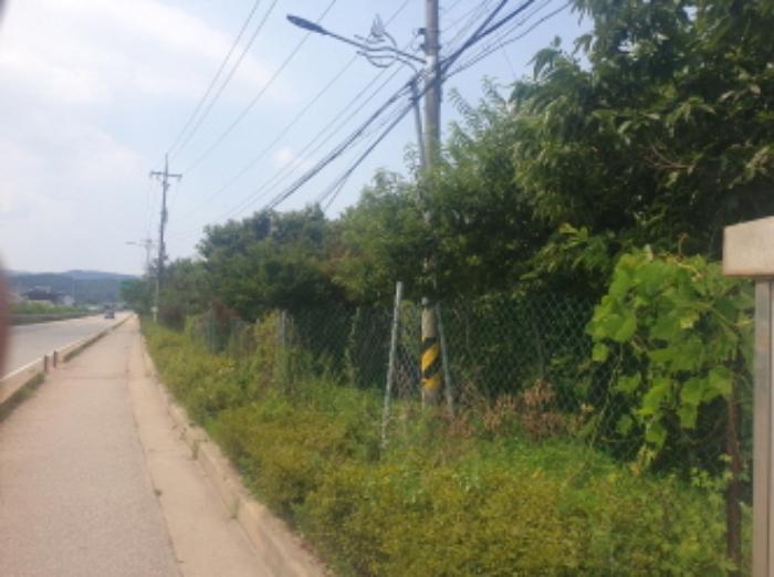 인천광역시 강화군 양사면 인화리 6 답 경매 사진 14