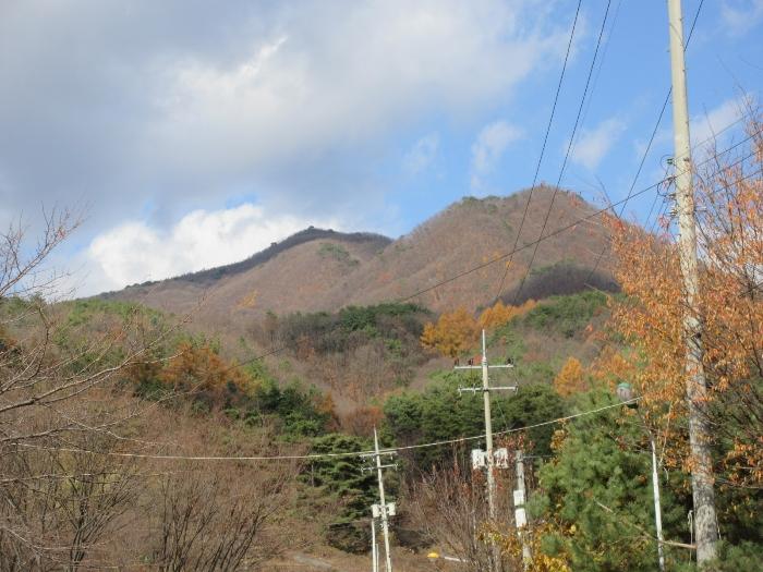 경기도 양평군 옥천면 용천리 산43 임야 경매 사진 1