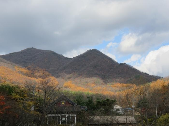 경기도 양평군 옥천면 용천리 산43 임야 경매 사진 3