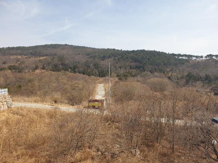 경상남도 산청군 신안면 안봉리 산24-19 임야 경매 사진 4