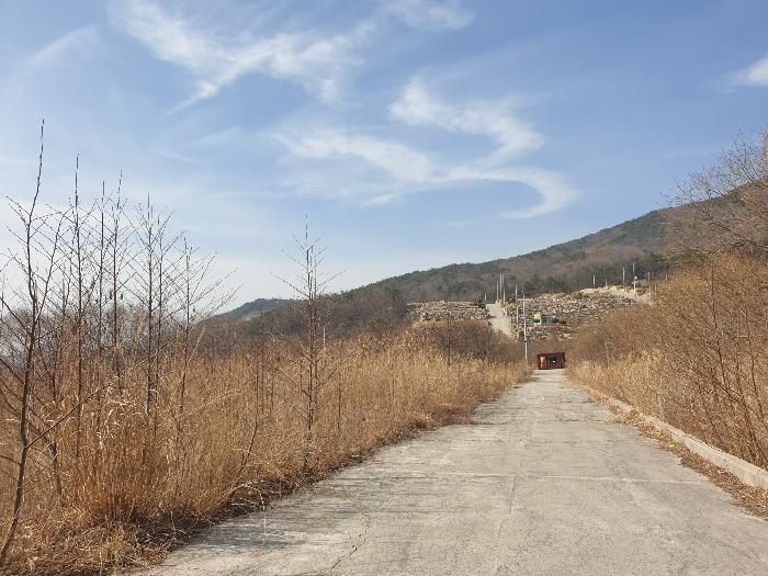 경상남도 산청군 신안면 안봉리 산24-19 임야 경매 사진 8