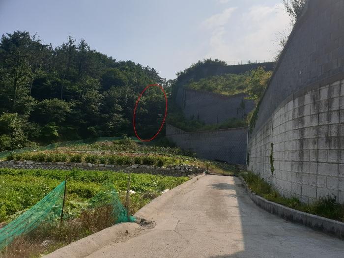 부산광역시 기장군 장안읍 반룡리 202 답 경매 사진 2