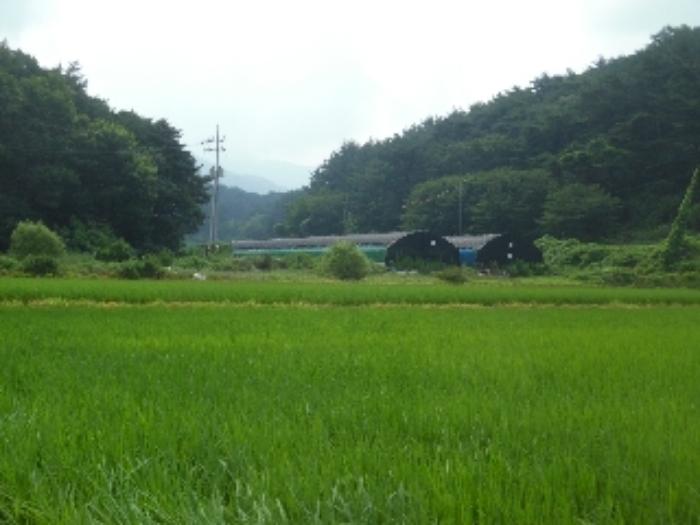 충청남도 서산시 해미면 오학리 38-8구) 충청남도 서산시 해미면 오학리 38-6 주택 경매 사진 35