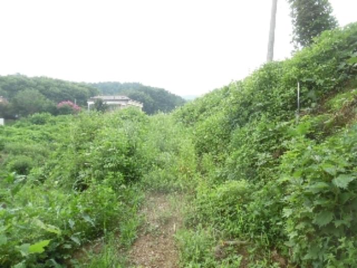 충청남도 서산시 해미면 오학리 38-8구) 충청남도 서산시 해미면 오학리 38-6 주택 경매 사진 51