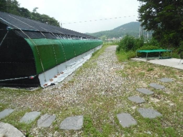 충청남도 서산시 해미면 오학리 38-8구) 충청남도 서산시 해미면 오학리 38-6 주택 경매 사진 54