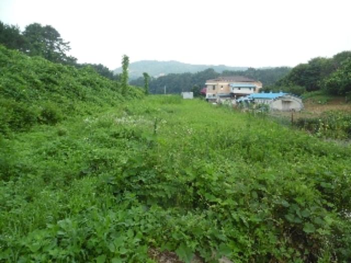 충청남도 서산시 해미면 오학리 38-8구) 충청남도 서산시 해미면 오학리 38-6 주택 경매 사진 55