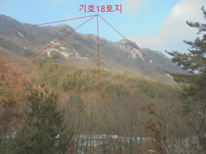 충청북도 단양군 대강면 직티리 354-16 종교시설 경매 사진 7