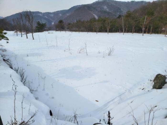 충청남도 천안시 동남구 병천면 관성3길 150-36구) 충청남도 천안시 동남구 병천면 관성리 138 주택 경매 사진 18