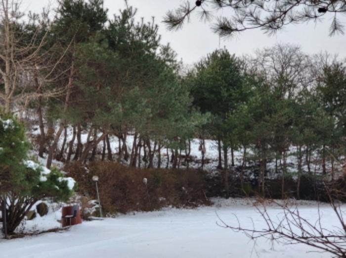 충청남도 천안시 동남구 병천면 관성3길 150-36구) 충청남도 천안시 동남구 병천면 관성리 138 주택 경매 사진 20