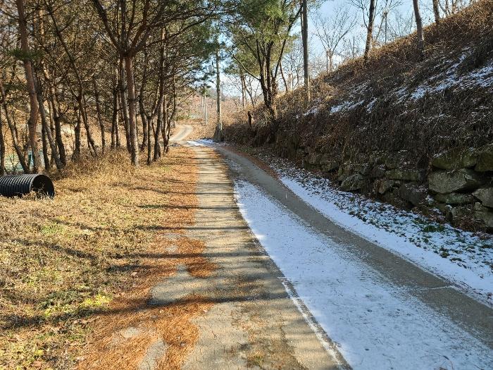 충청남도 천안시 동남구 병천면 관성리 138-2 펜션(캠핑장) 경매 사진 12