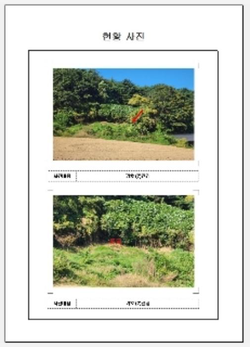 전라남도 무안군 몽탄면 양장리 949 전 경매 사진 11