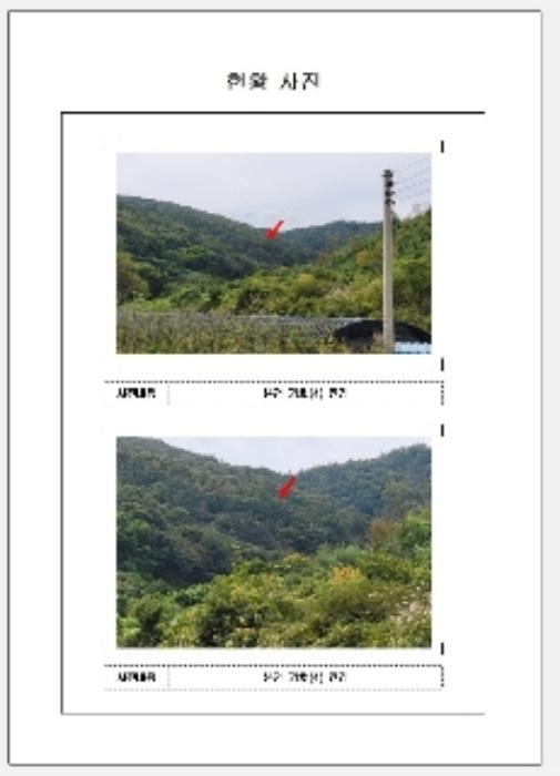 전라남도 무안군 몽탄면 양장리 949 전 경매 사진 13