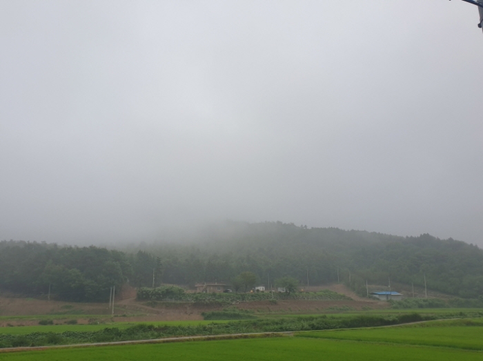 전라남도 보성군 보성읍 녹차로 890-60구) 전라남도 보성군 보성읍 봉산리 1124-1 주택 경매 사진 36