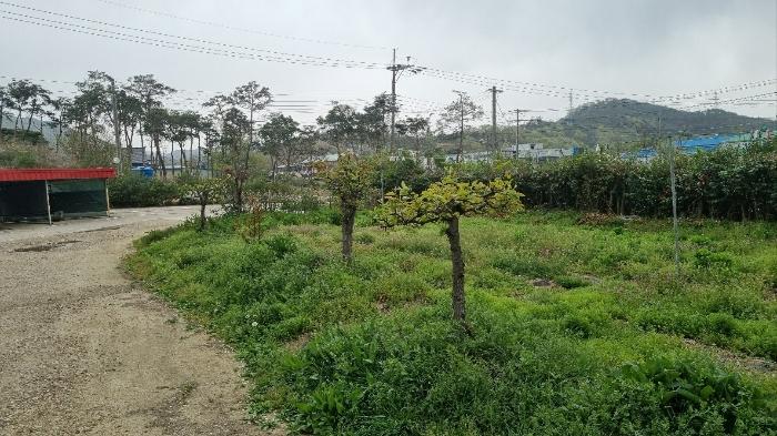 경상남도 함양군 함양읍 백천리 1105 구) 경상남도 함양군 함양읍 백천리 1105 숙박시설 경매 사진 16