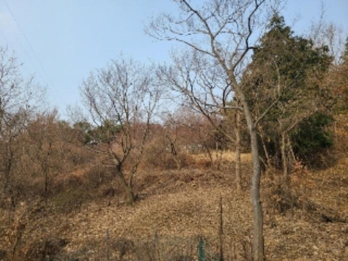 광주광역시 북구 청풍동 1205-3 전 경매 사진 13