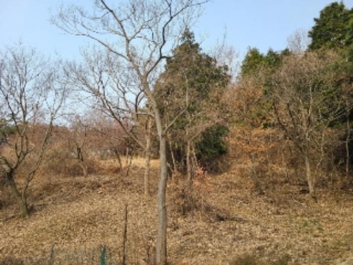 광주광역시 북구 청풍동 1205-3 전 경매 사진 15
