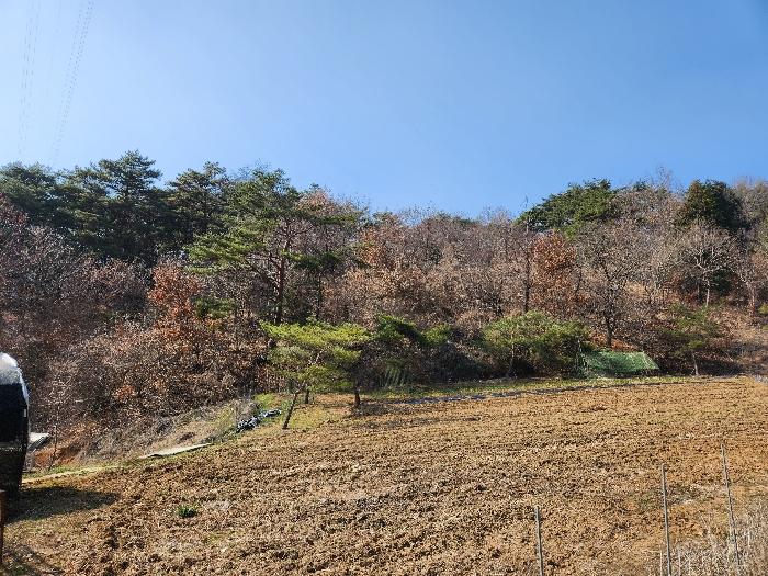 광주광역시 북구 청풍동 1205-3 전 경매 사진 2