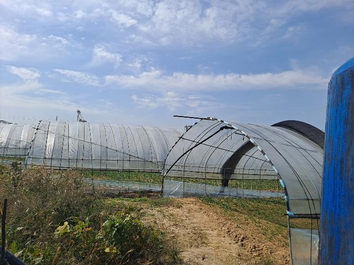 경기도 포천시 가산면 마전리 626-3 답 경매 사진 4