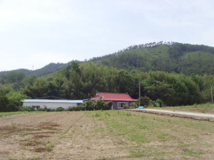 전라남도 해남군 삼산면 원진리 752-1 전 경매 사진 15