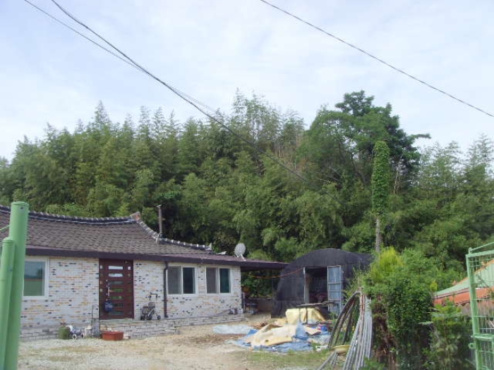 전라남도 해남군 삼산면 원진리 752-1 전 경매 사진 17
