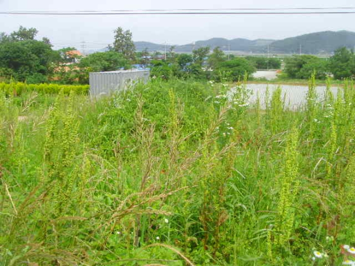 전라남도 해남군 삼산면 원진리 752-1 전 경매 사진 20