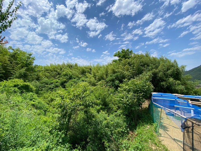 전라남도 해남군 삼산면 원진리 752-1 전 경매 사진 5