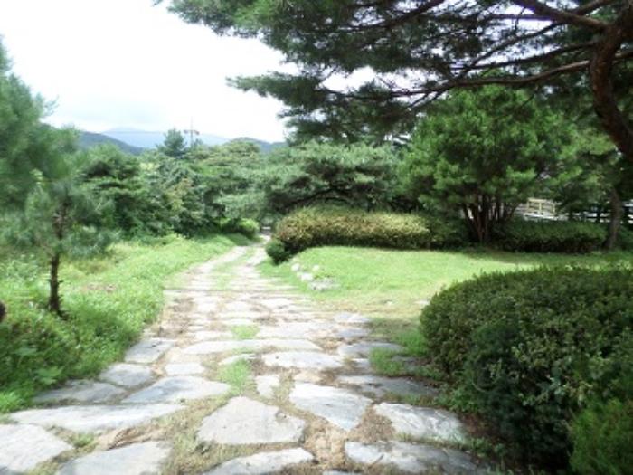 강원도 원주시 부론면 정산리 2118-4 답 경매 사진 23